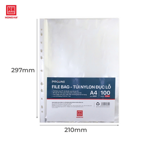 Túi nilon đục lỗ A4 - 6691 (10 chiếc) - Ảnh 2